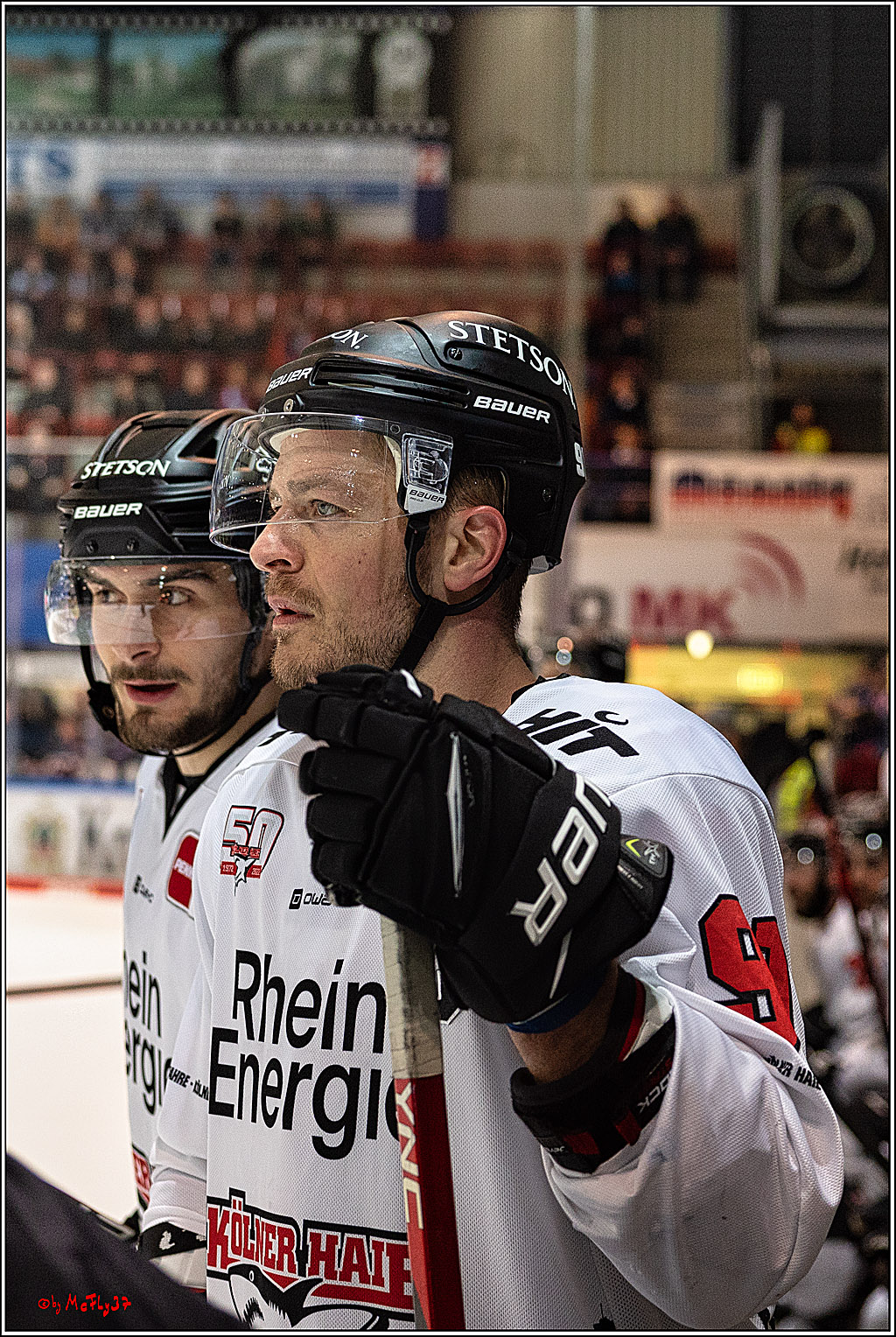 PENNY DEL;  Iserlohner EC - Koelner Haie; Iserlohn, 24.02.2023